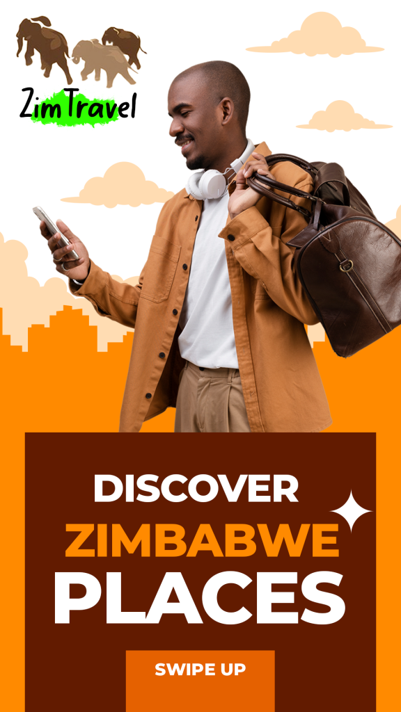 Zim Travel App